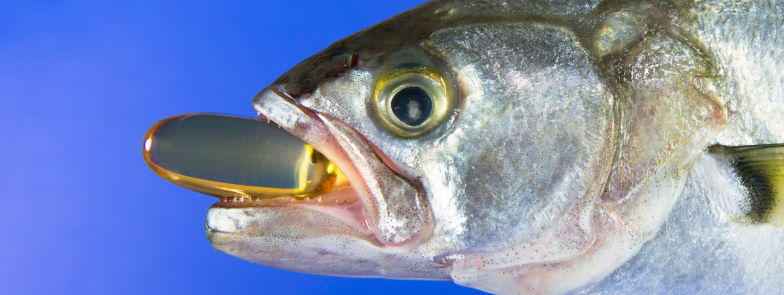 Fish oil and Omega supplements in Bangladesh